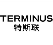 特斯联科技集团有限公司