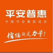 平安普惠投资咨询有限公司石家庄自强路分公司