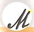 深圳市启明星控股集团有限公司